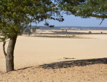 Duinhoeve: Kindvriendelijk vakantiehuis bij de Loonse en Drunense Duinen - thumbnail 5