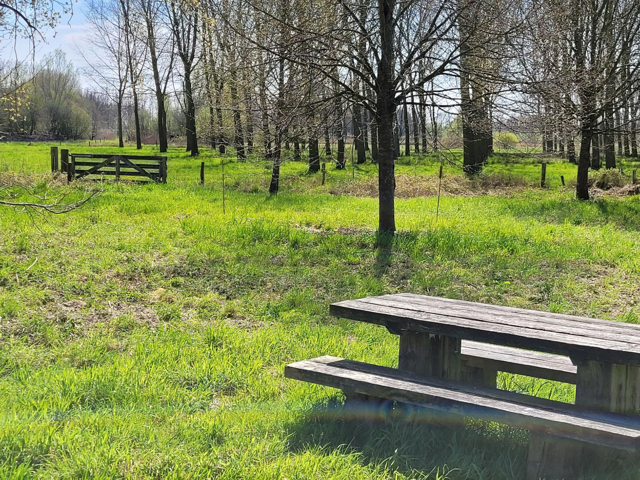 De Steegsche Hoeve - Huisje - Drinnen