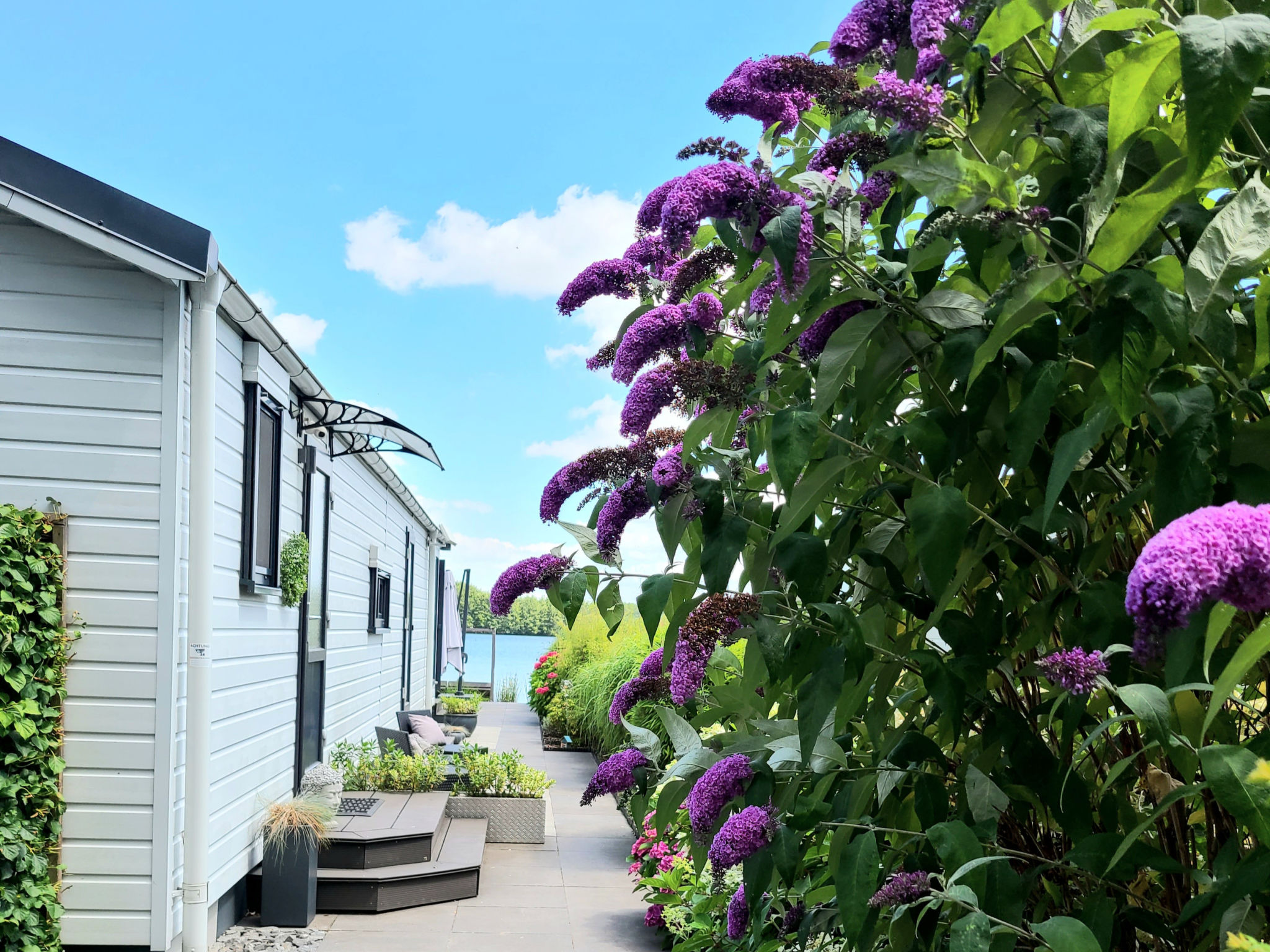 Vakantiepark Klein Vink - Boulevard 16