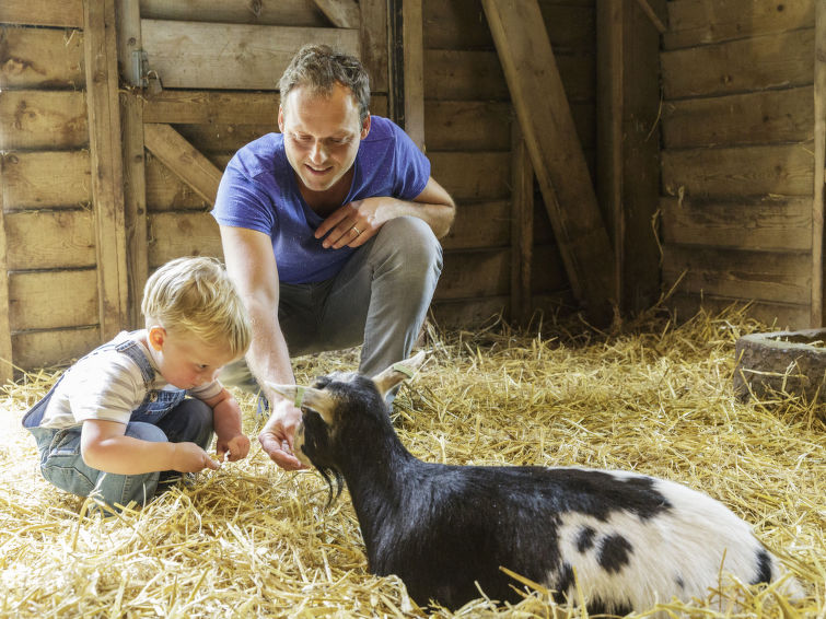 Ferienhaus VIP Cottage