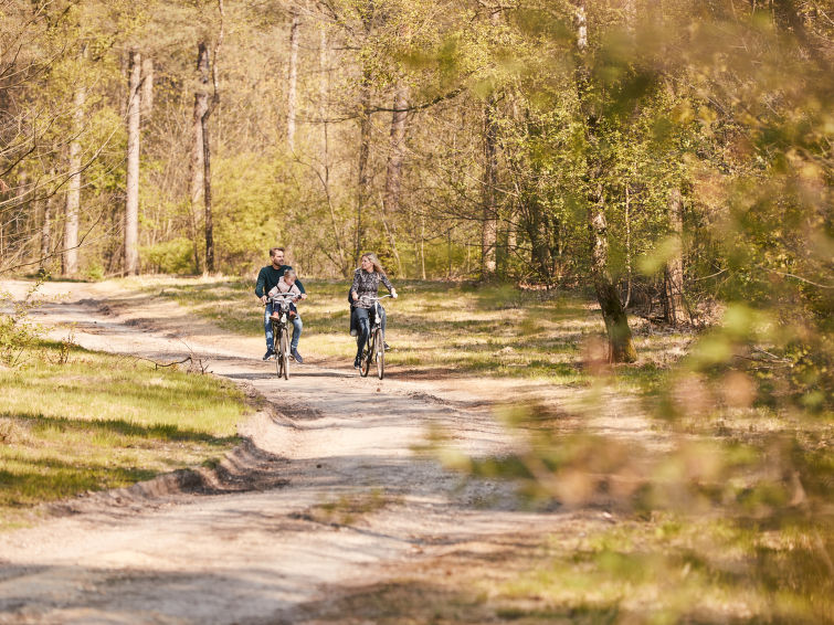 Ferienhaus VIP Cottage