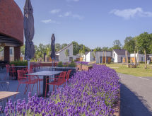 Ferienhaus 7 persoons Comfort