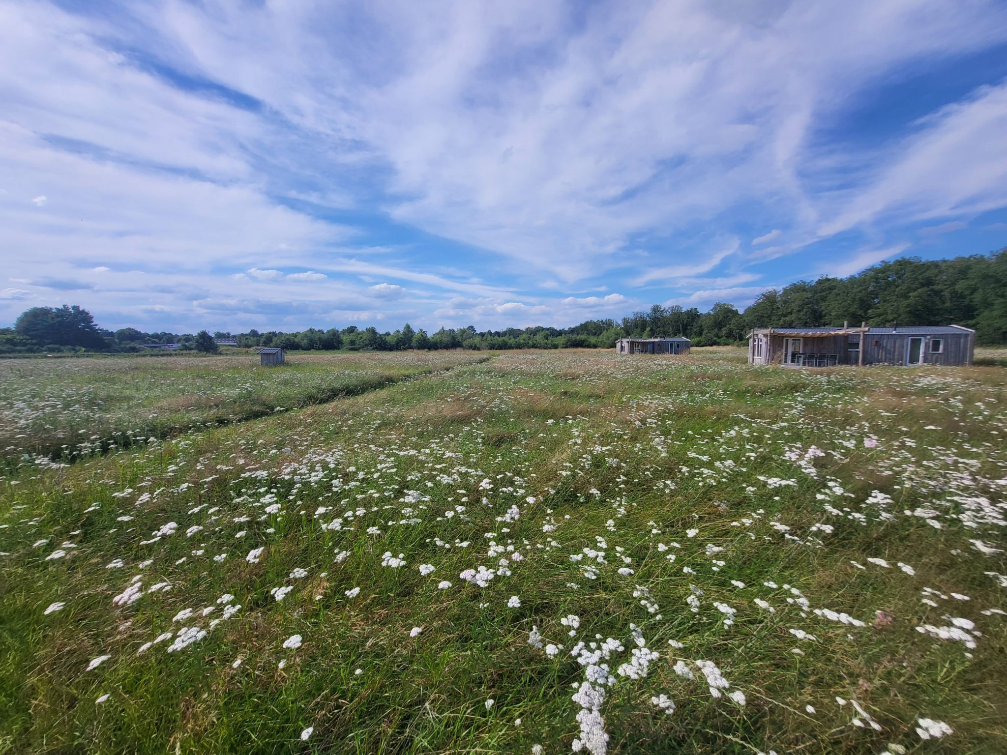 Hoeve Twente - De Oeverzwaluw - Buiten