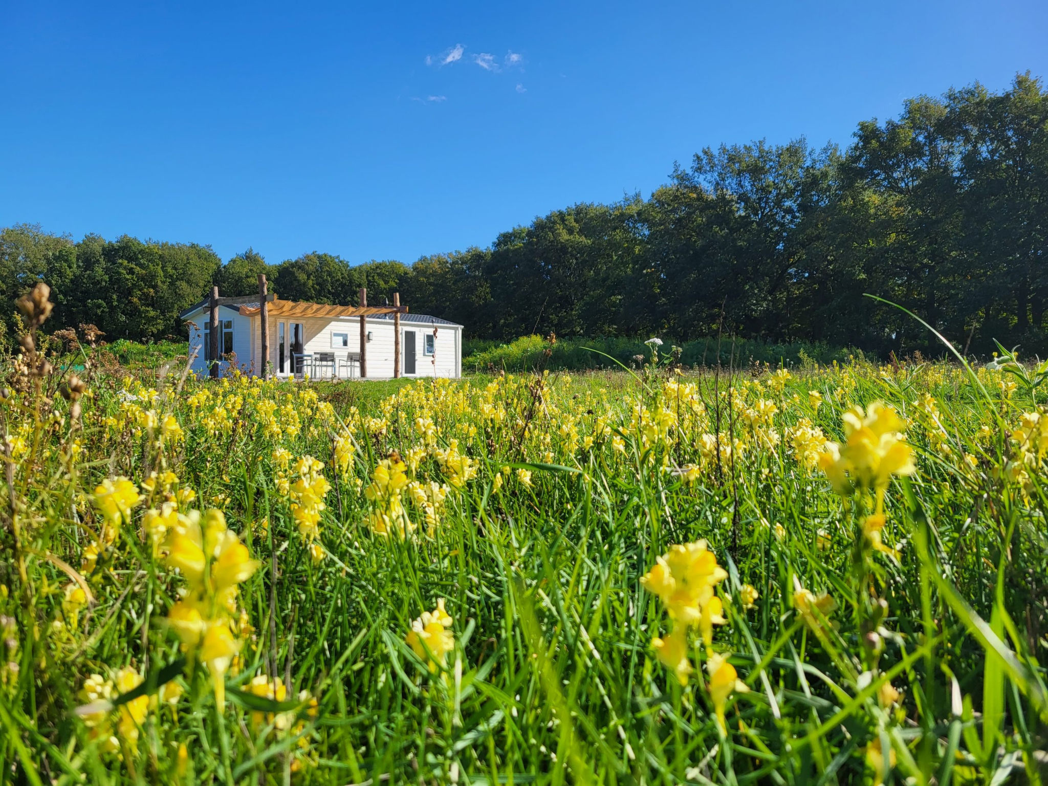 Hoeve Twente - De Wielewaal - Buiten