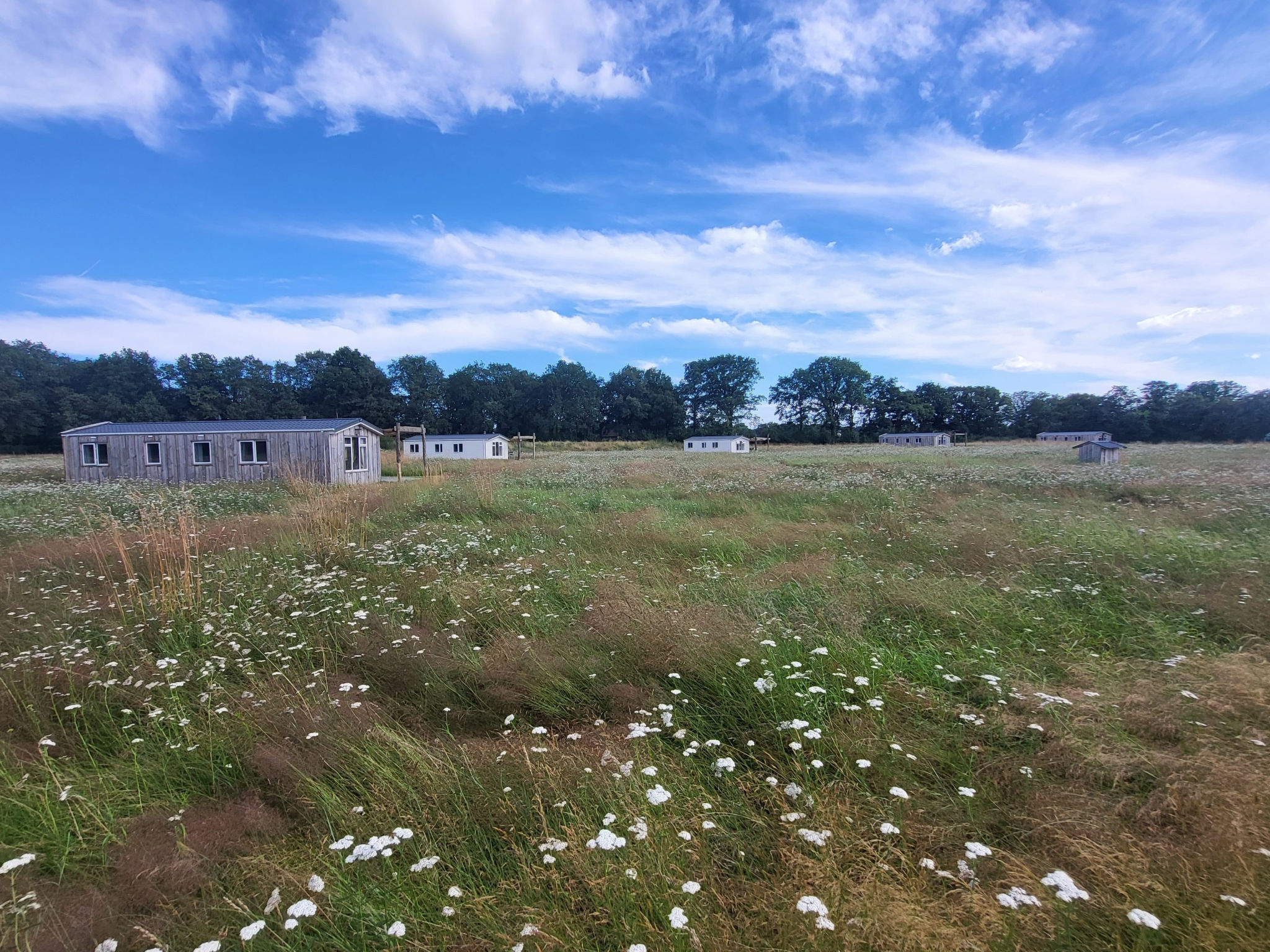 Hoeve Twente - De Wielewaal - Buiten