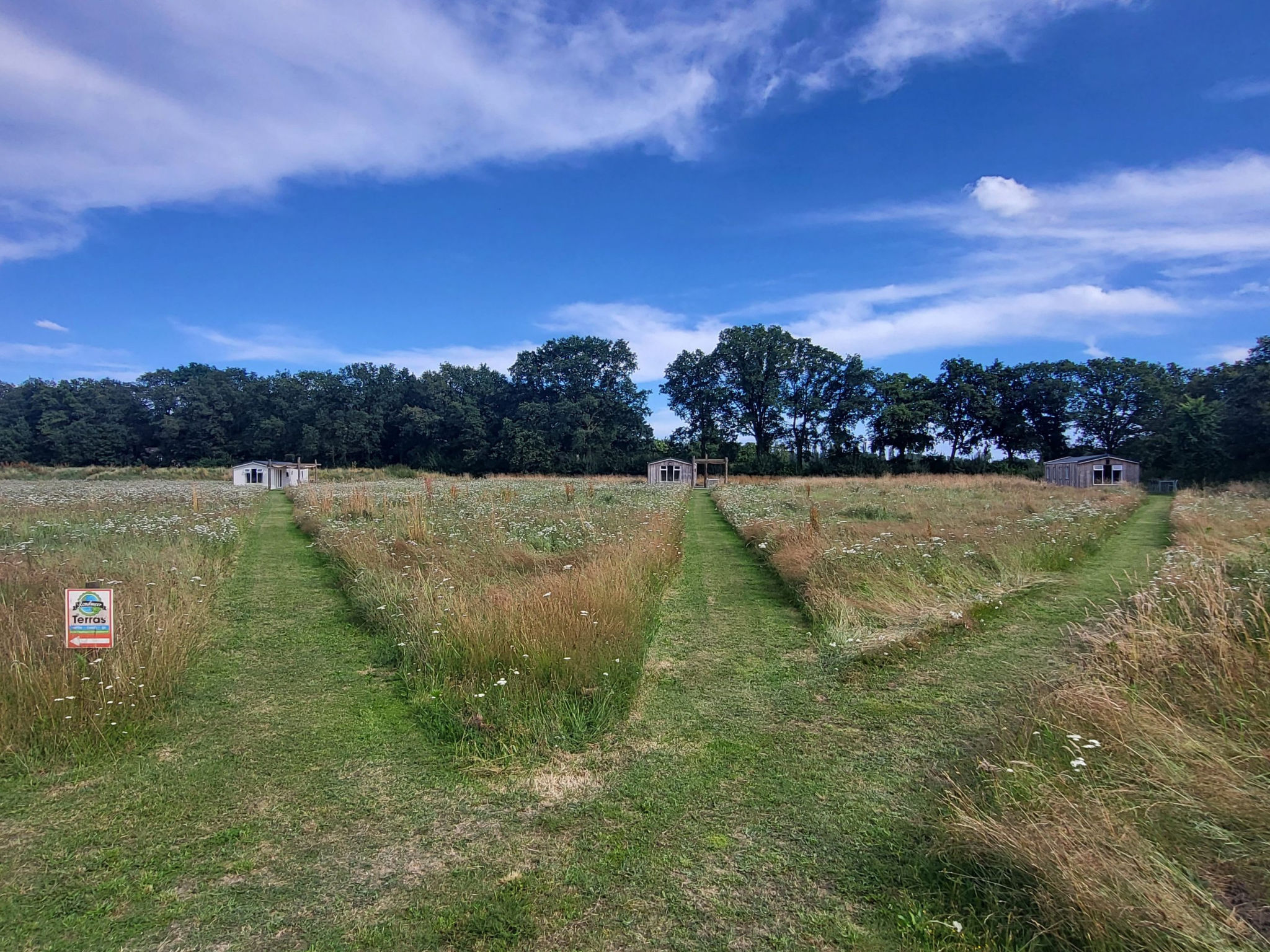 Hoeve Twente - De Wielewaal - Buiten