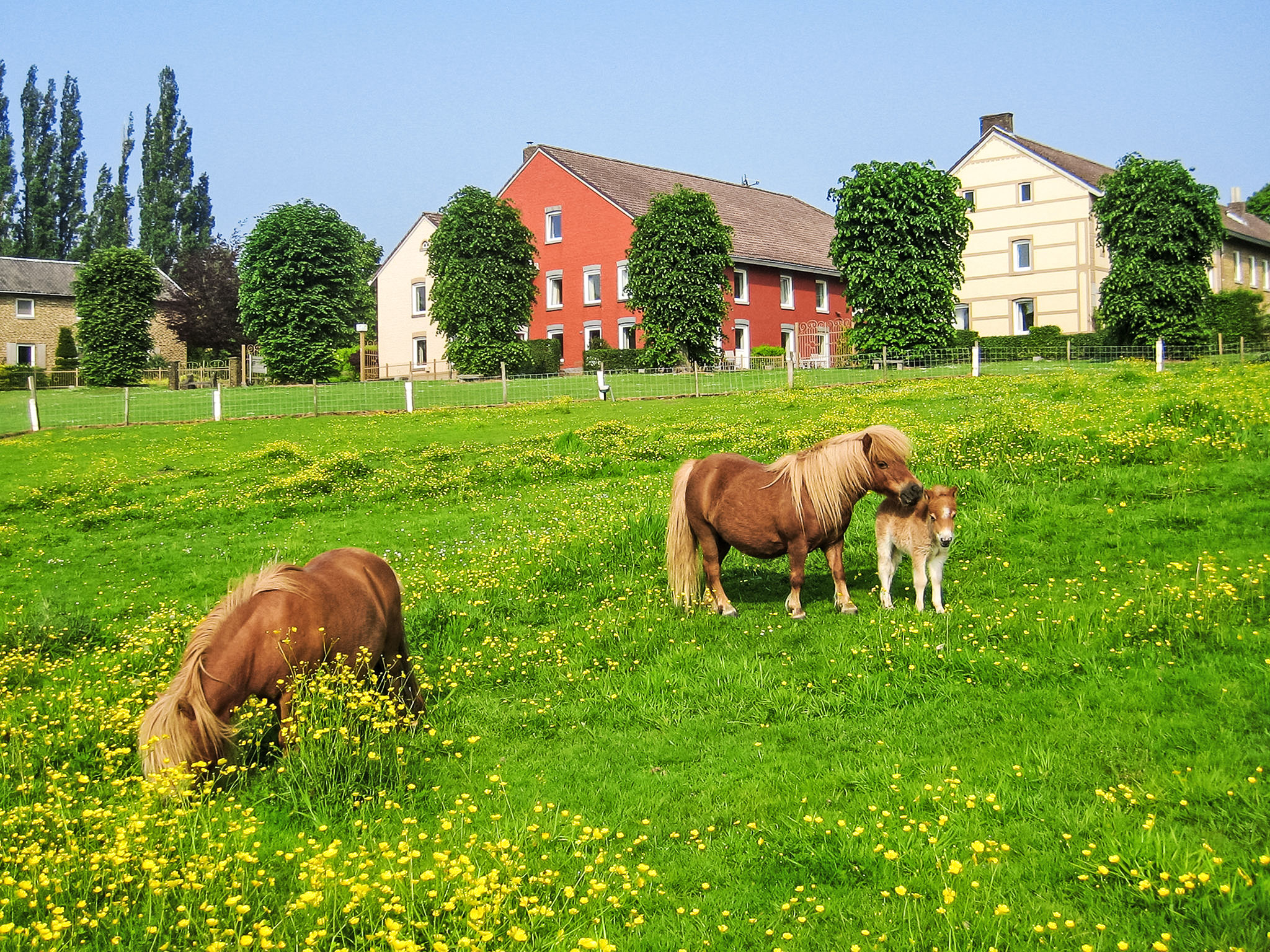 Bungalowpark Landsrade - Draußen