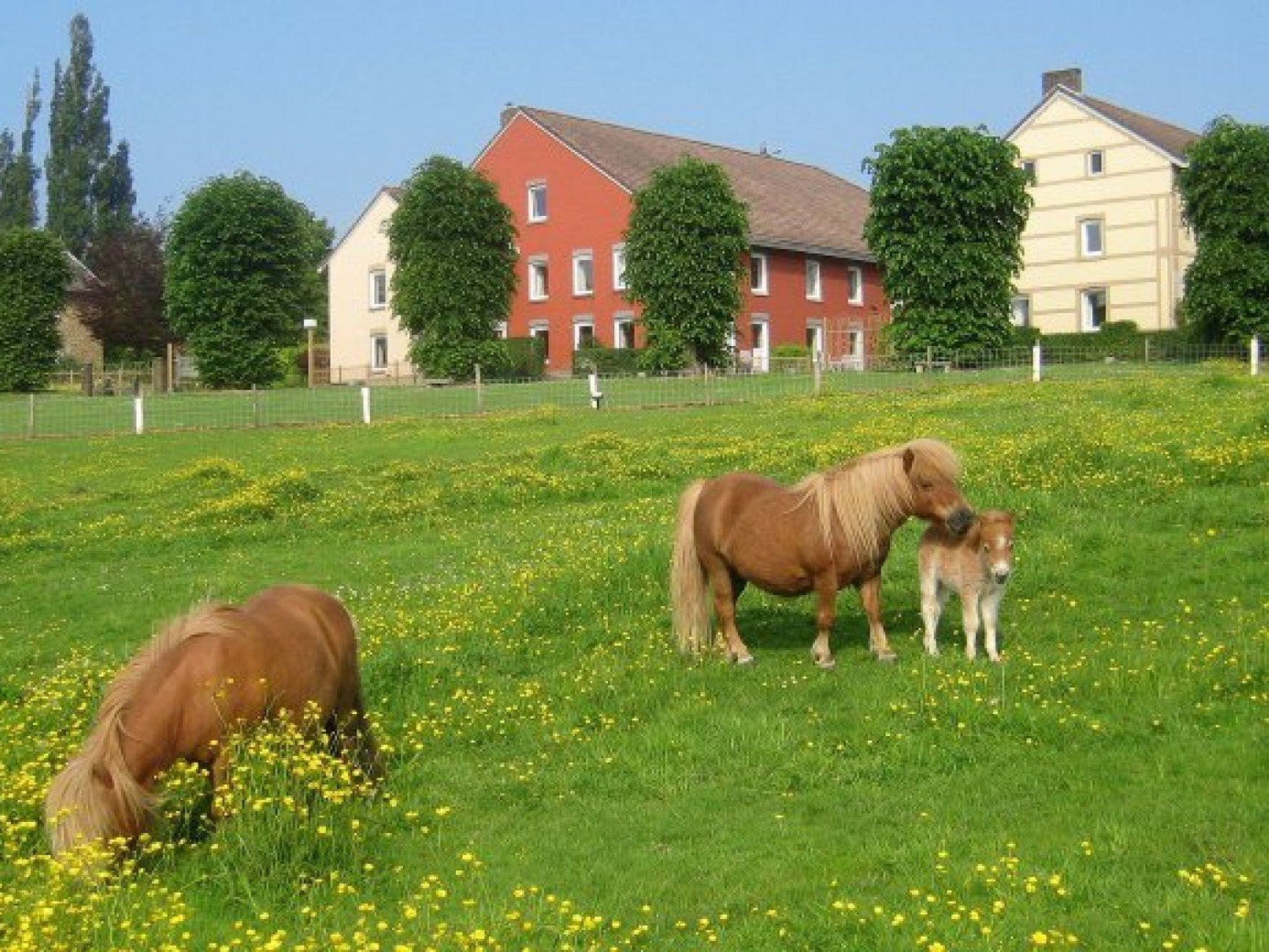 Bungalowpark Landsrade - Geschakelde bungalow 4 - Buiten