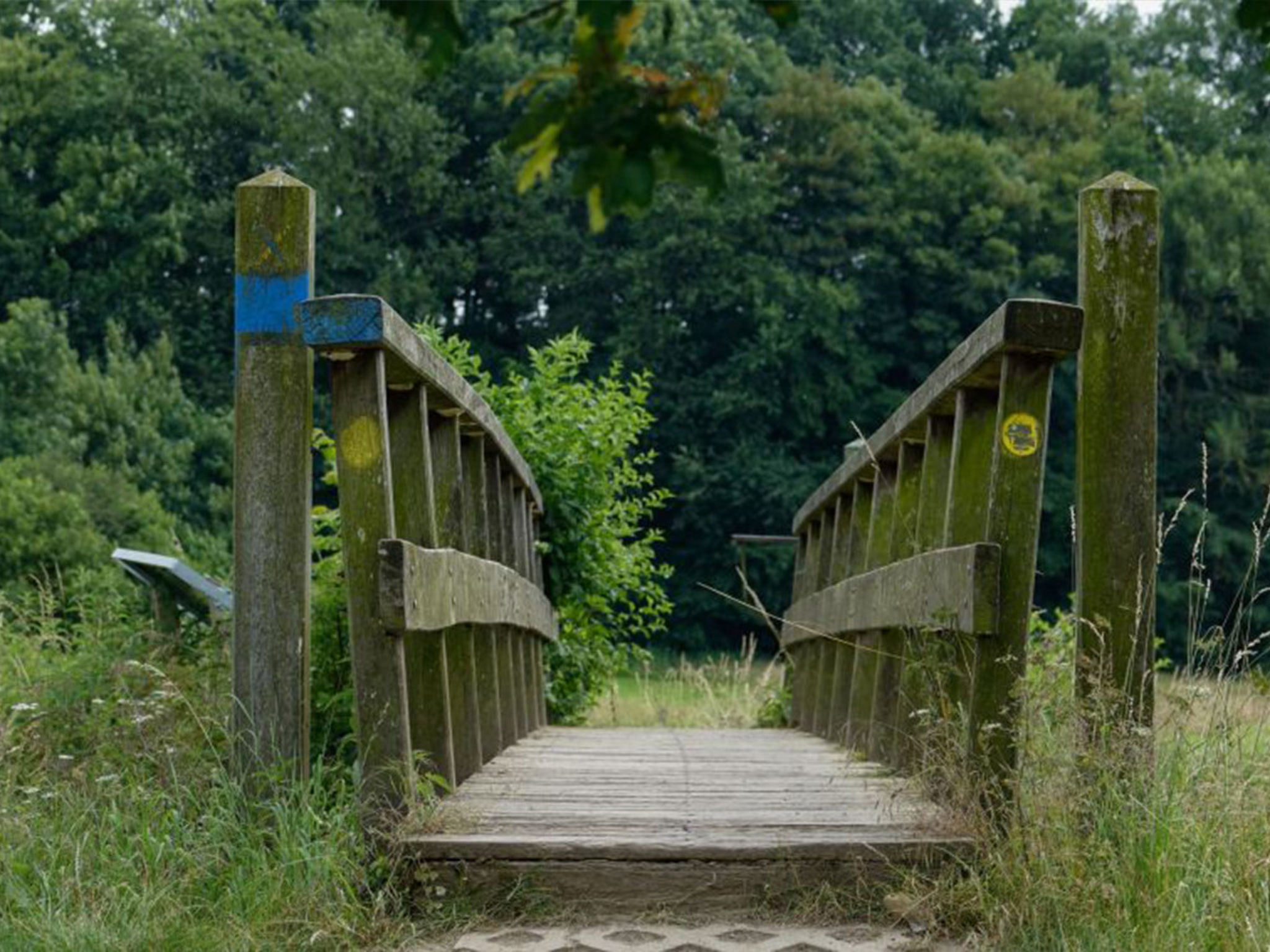 Recreatieboerderij Tergracht - t Schob - Drinnen