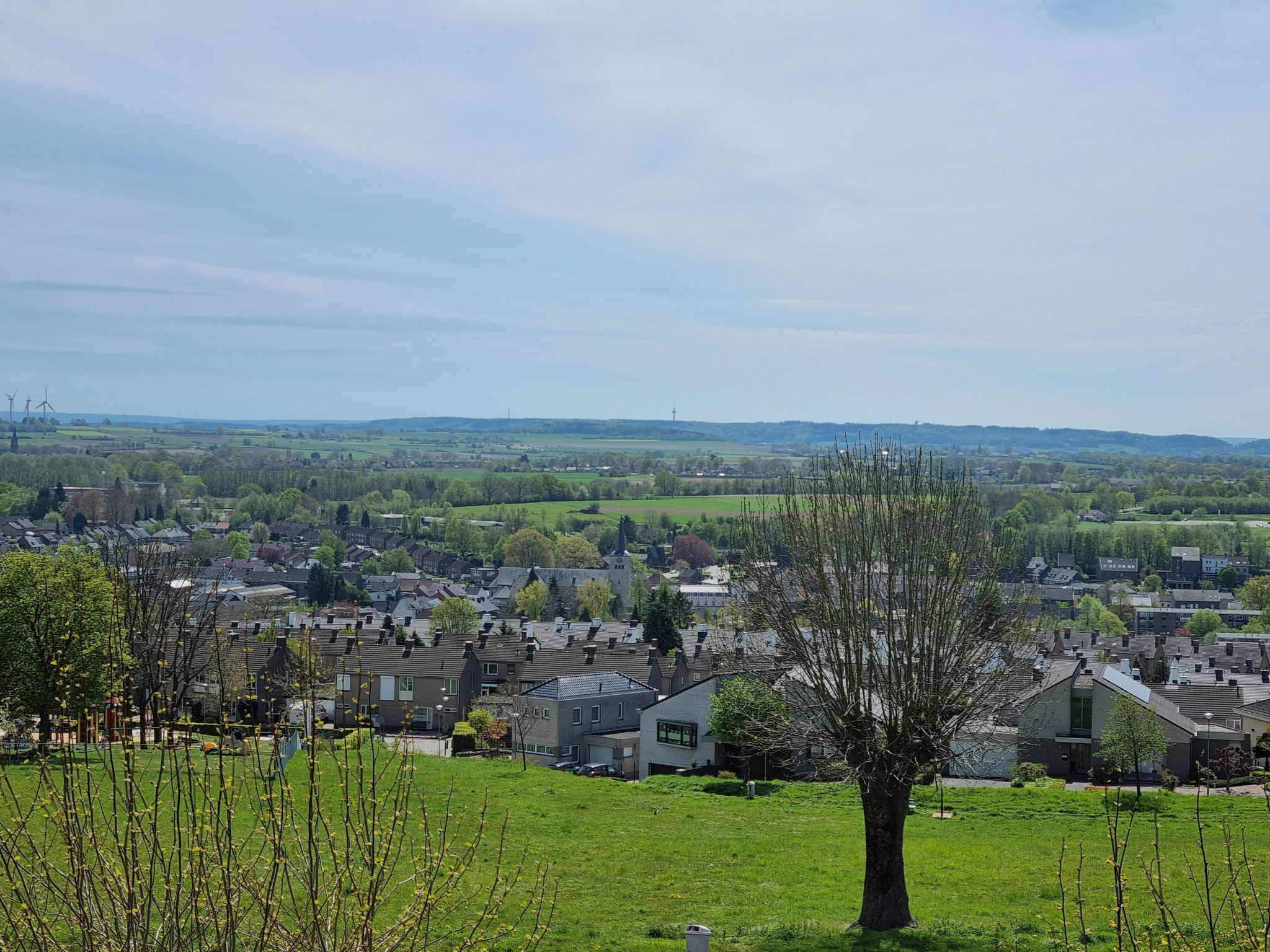 View