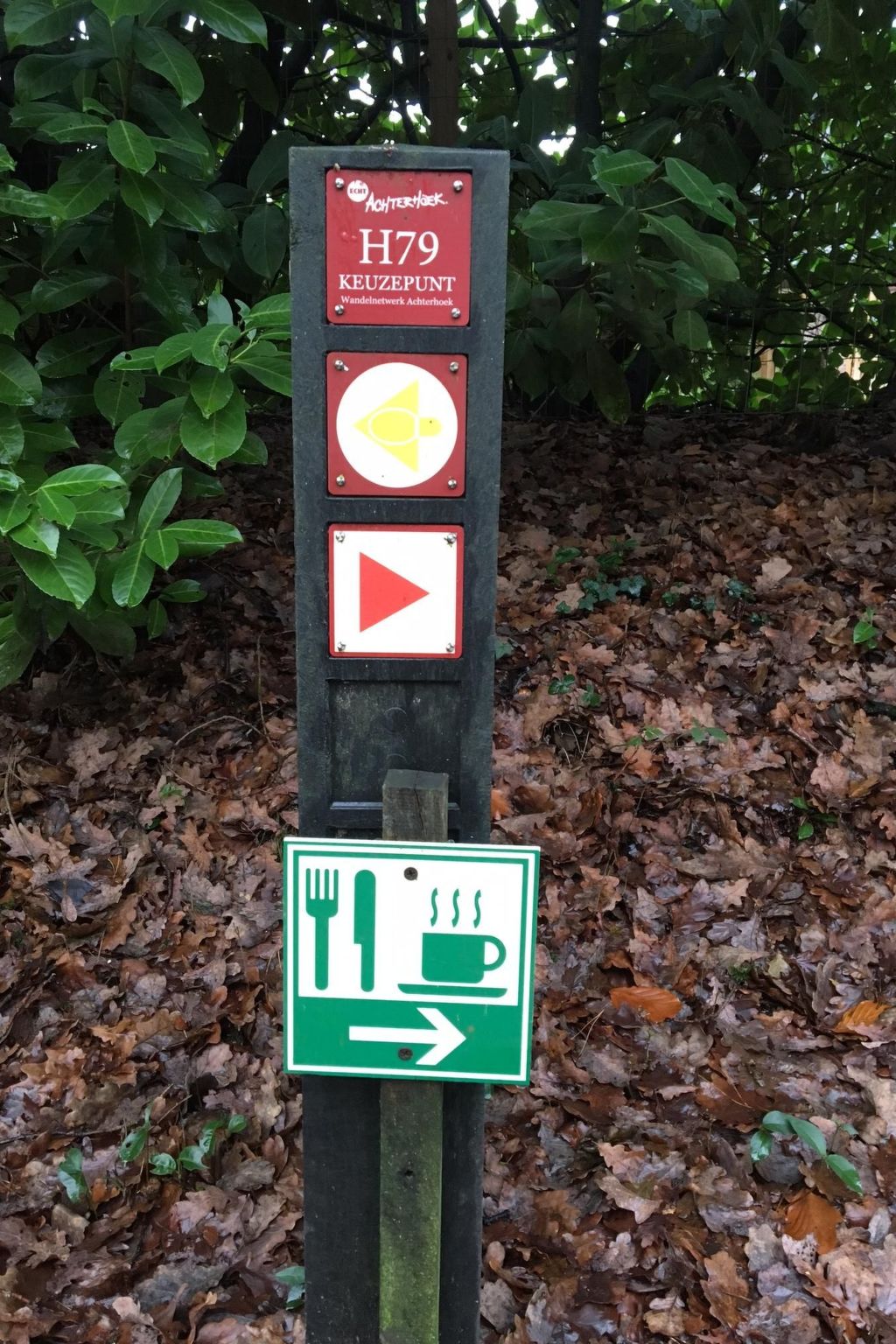 Geräumiges Ferienhaus mitten im Wald-Binnen