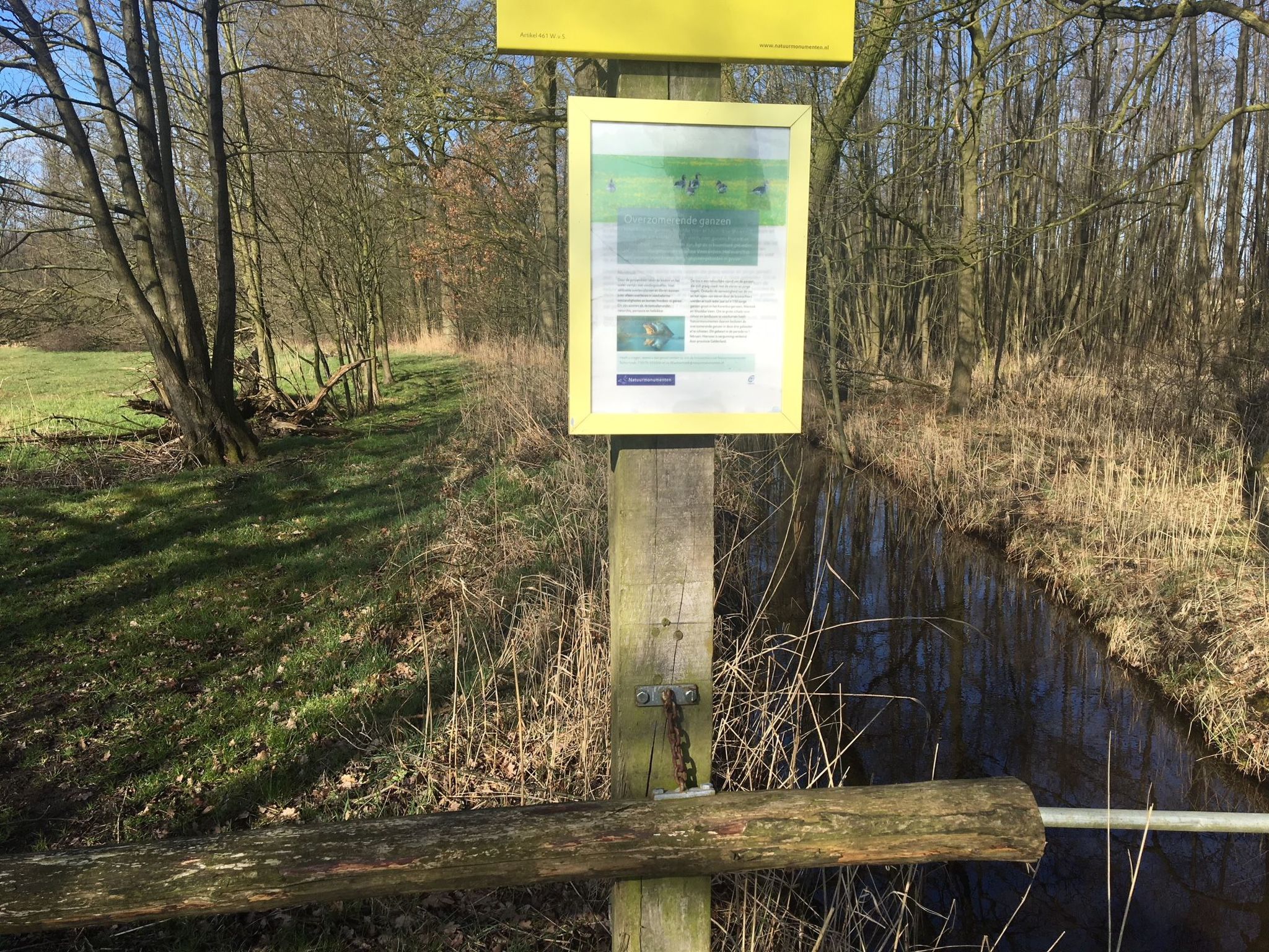 Geräumiges Ferienhaus mitten im Wald-Binnen
