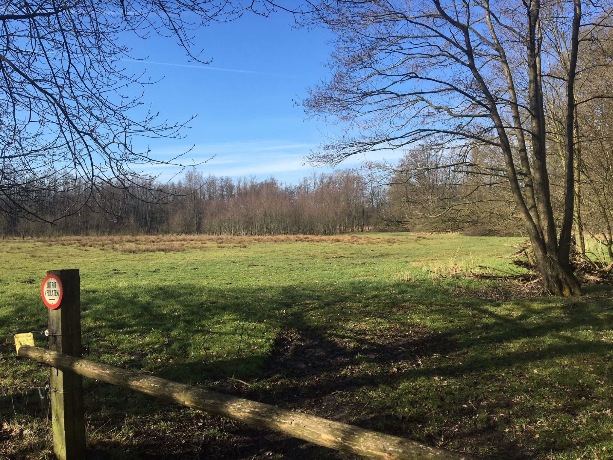 Geräumiges Ferienhaus mitten im Wald-Binnen