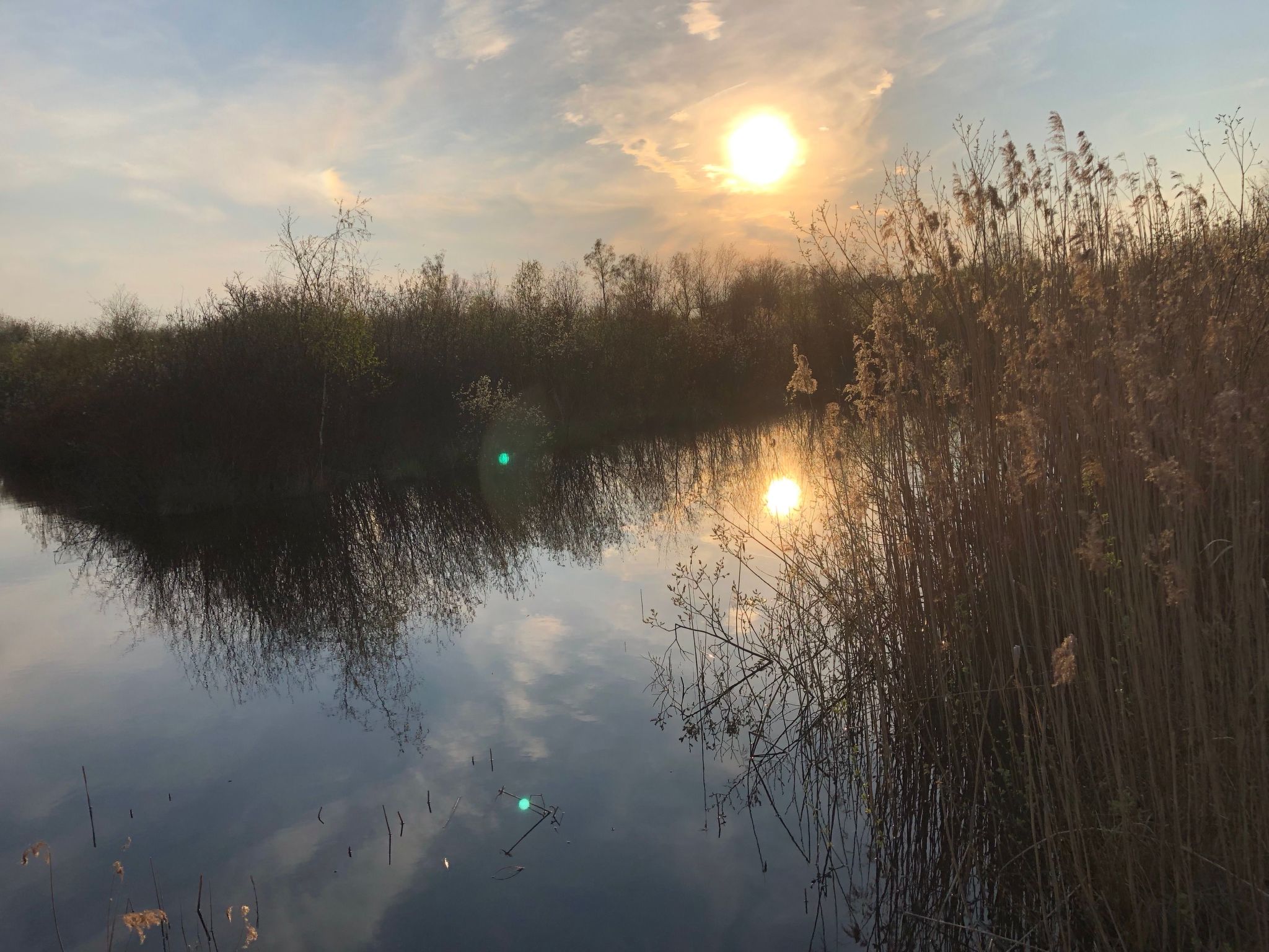 Geräumiges Ferienhaus mitten im Wald-Binnen