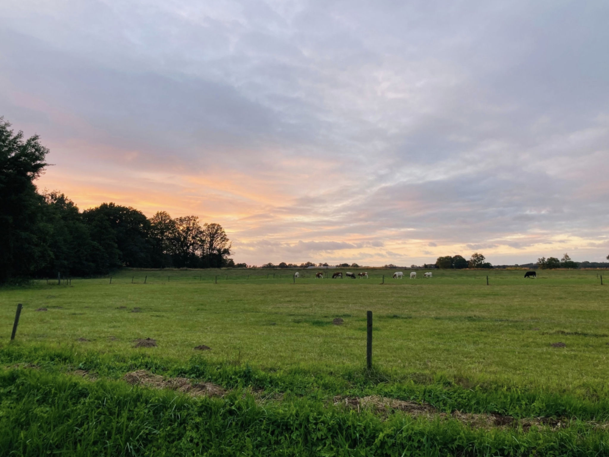 Camping Ont Moeten - Pim z'n tent - Inside