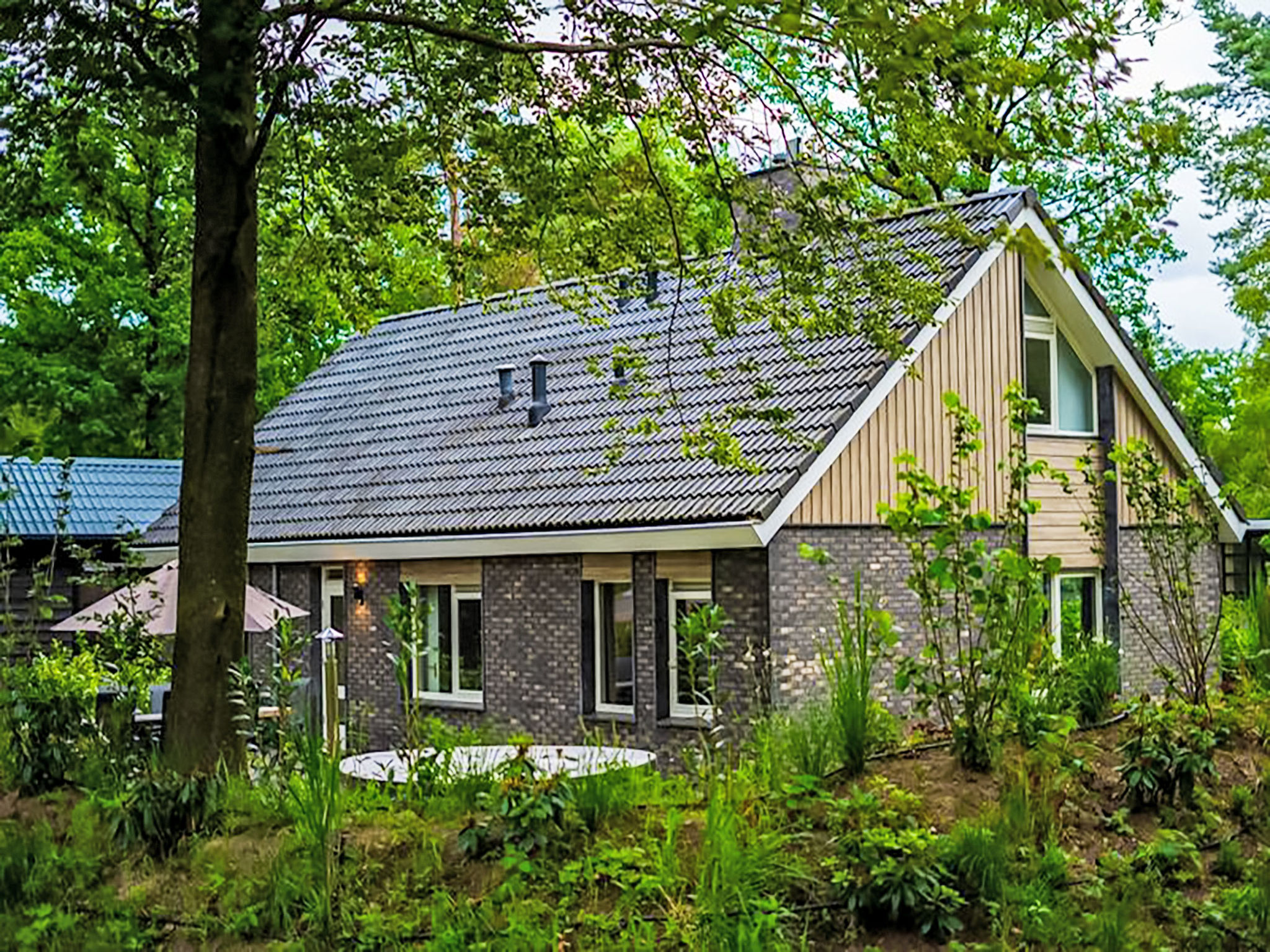 Specht-Buiten