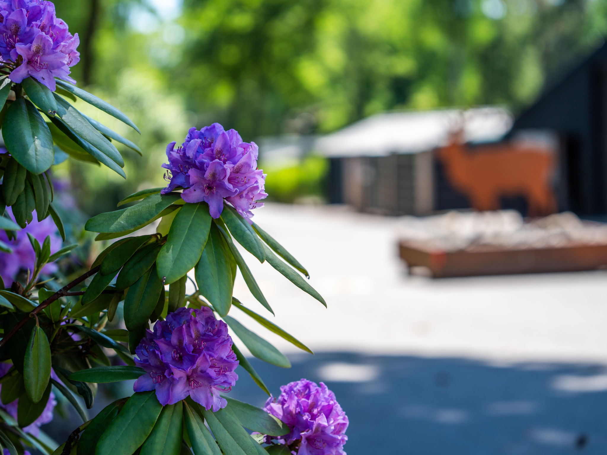 Celisa s Häuschen-Environnement