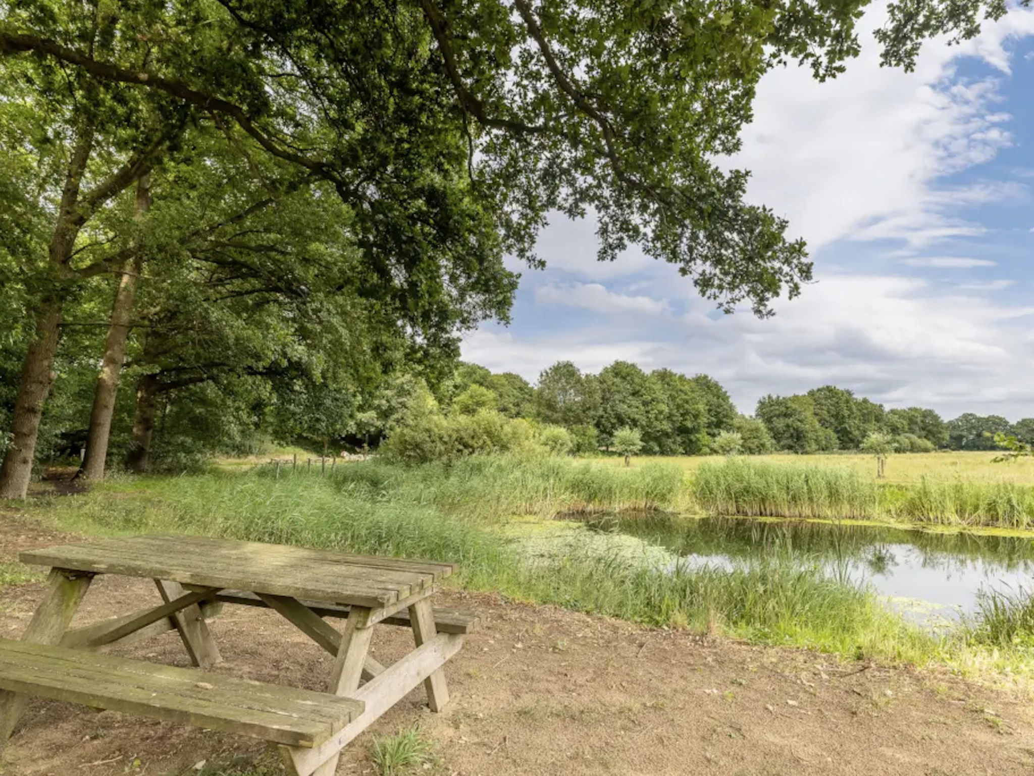 Outdoors Holten - Skydeck Cabin - Binnen
