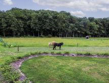 Ferienhaus Familieboerderij