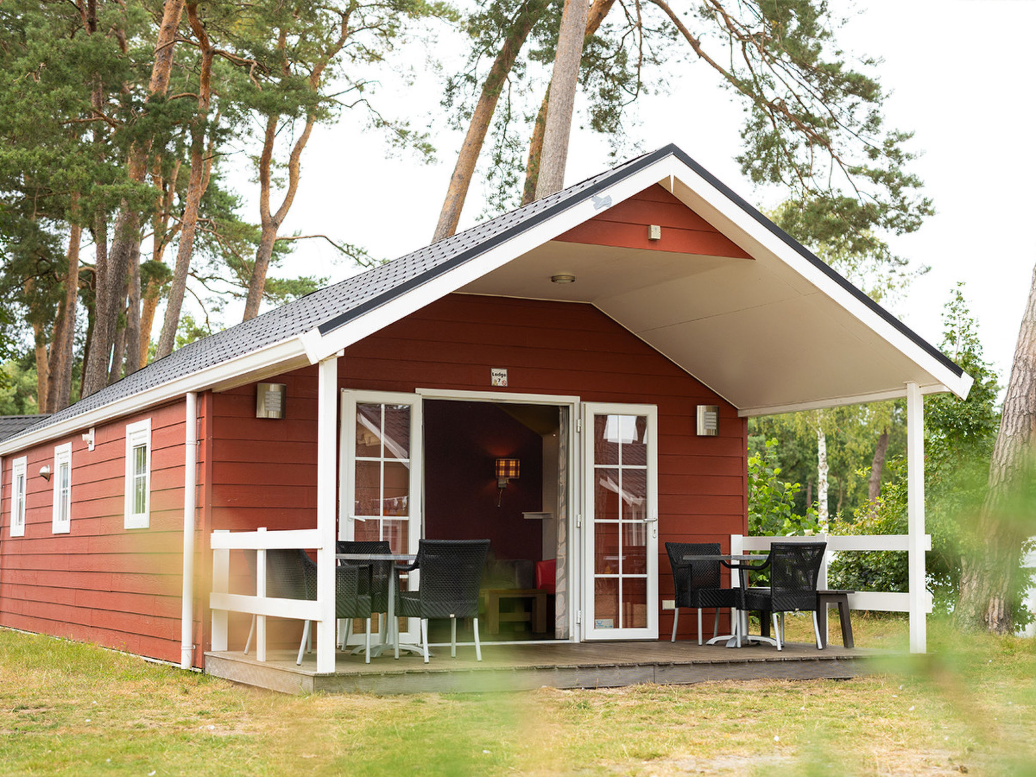 Camping de Molenhof - Lodge 6 personen - Outside