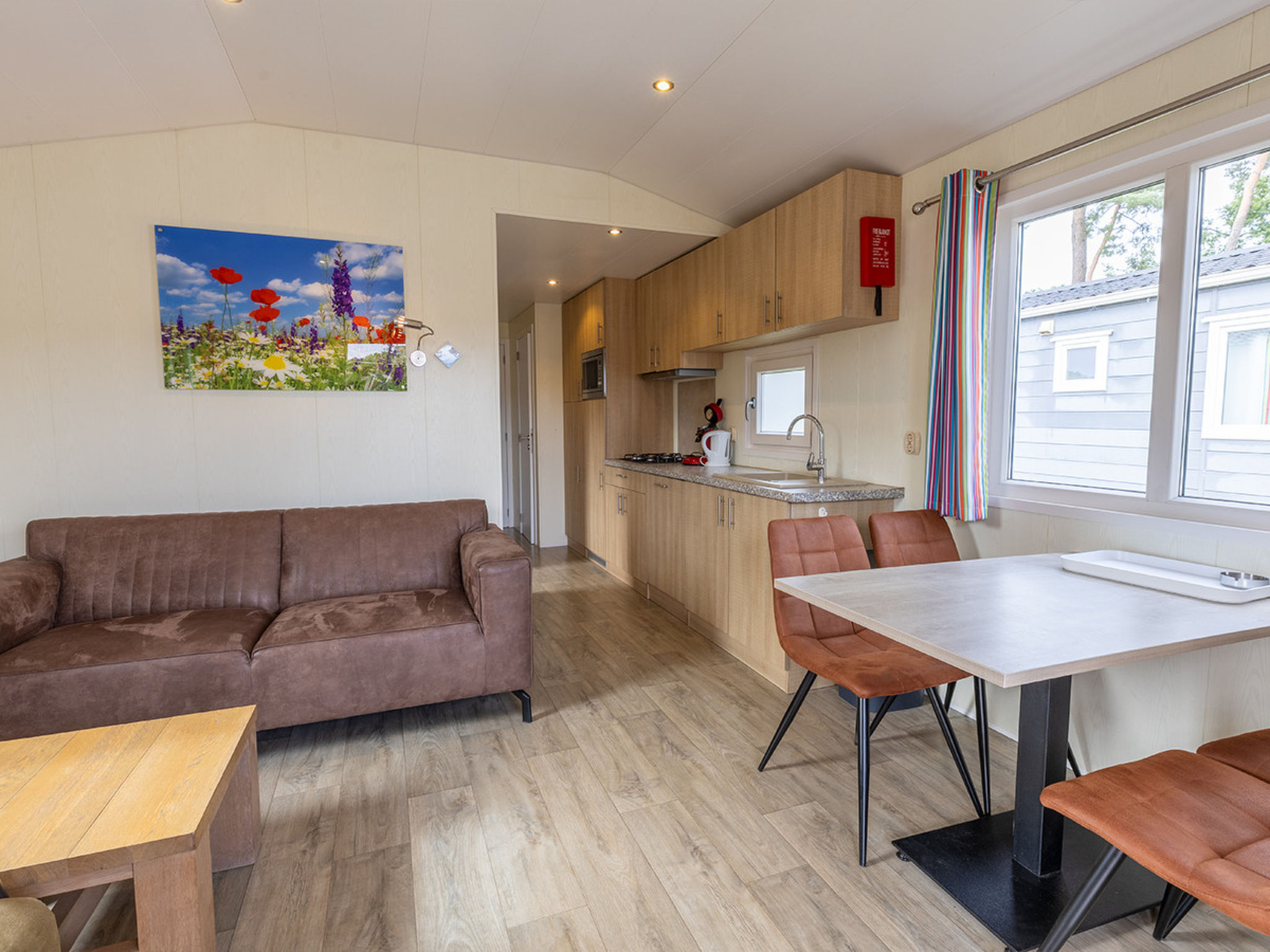 Camping de Molenhof - Lodge 4 personen