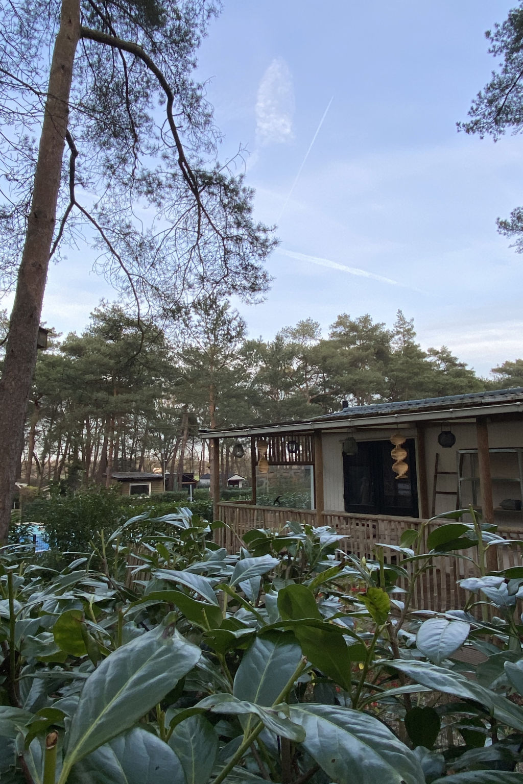 Recreatiepark Klein Zwitserland - Zomereik