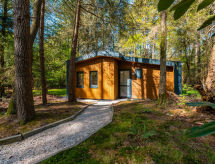Zandborg Lodge: Luxe stadsvilla met zwembad in hartje Ruinen, Drenthe - thumbnail 1