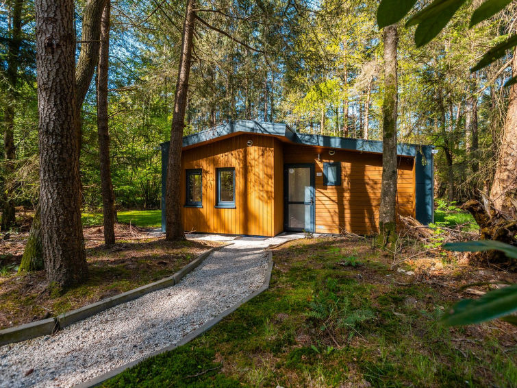 Vakantiepark De Wiltzangh - Zandborg Lodge - Drenthe