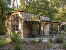 Tiny Borg: Stijlvol tiny house in hartje Drents Ruinen - thumbnail 1
