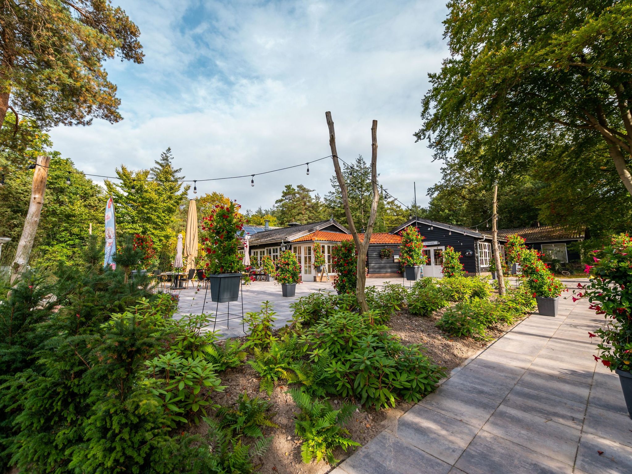 De Wiltzangh - Vennenborg Lodge | 6p - Omgeving