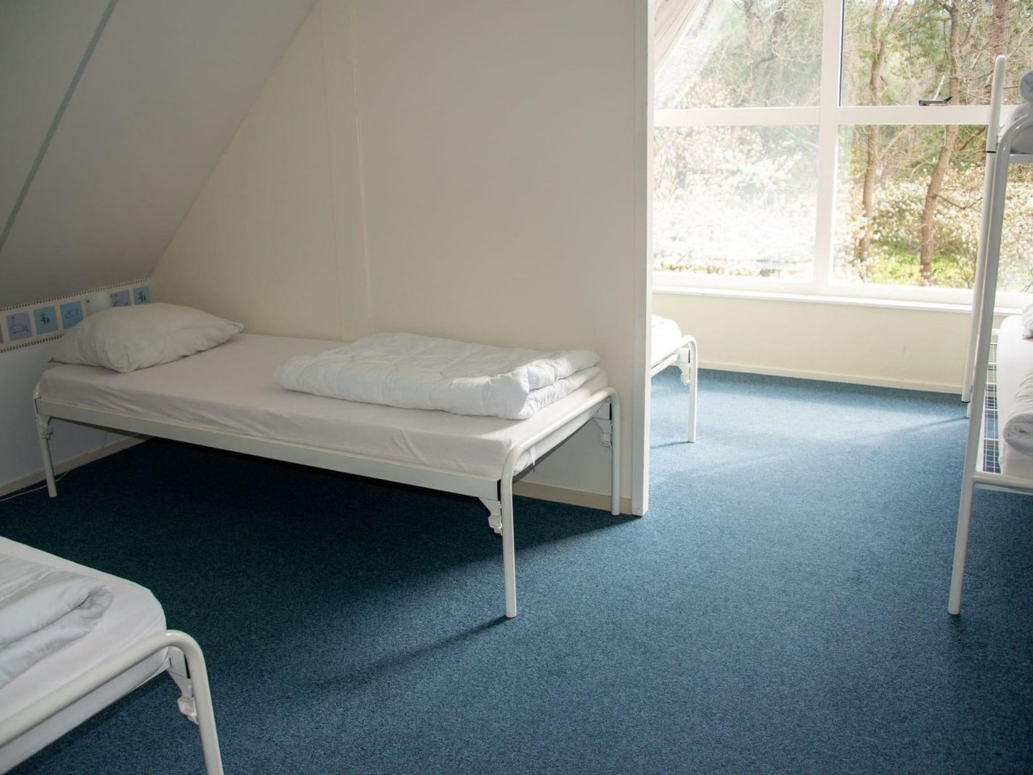 De Wiltzangh - Familiehuis Wellness | 18p - Buiten