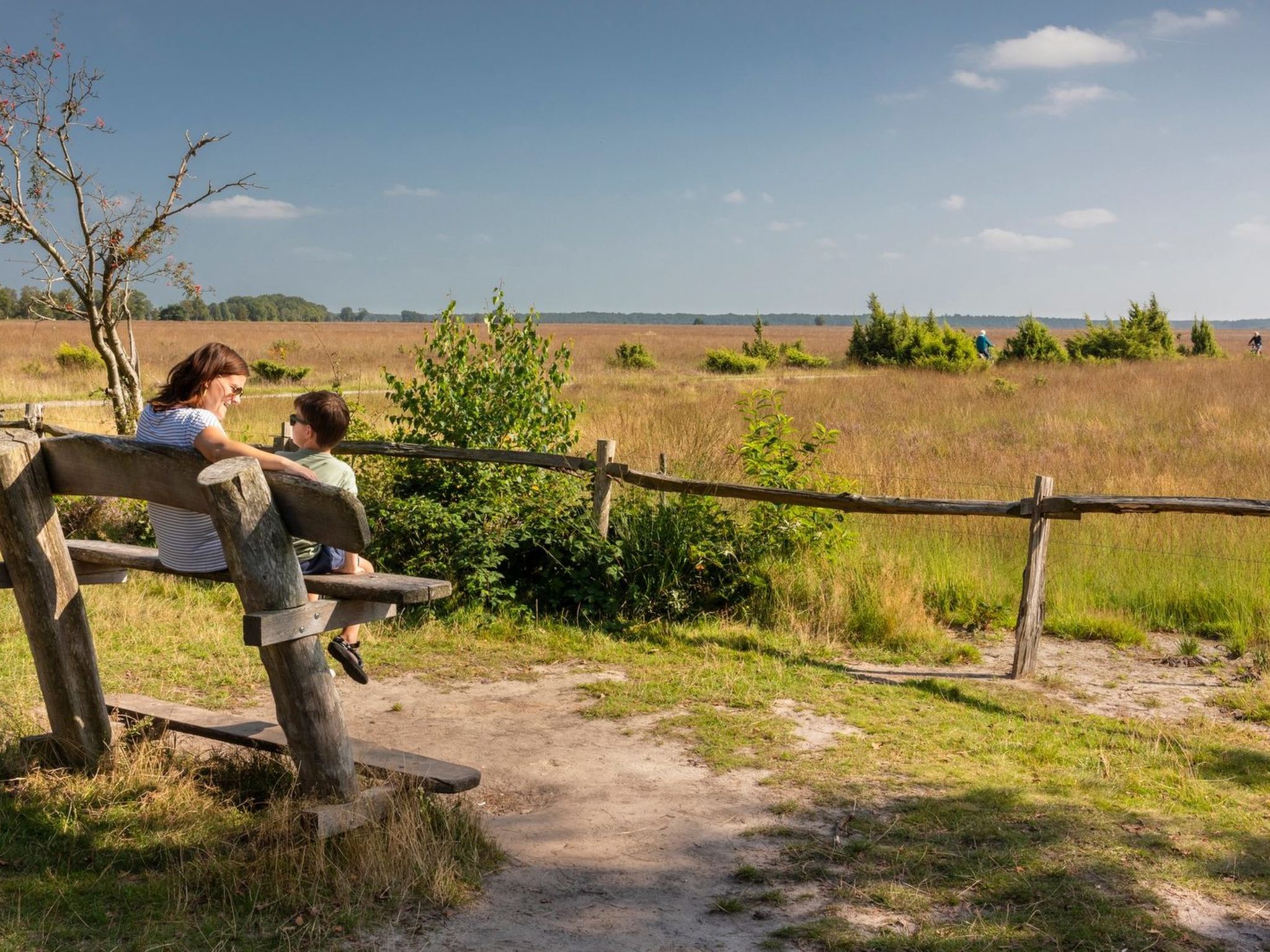 De Wiltzangh - Familiehuis Wellness | 18p - Buiten