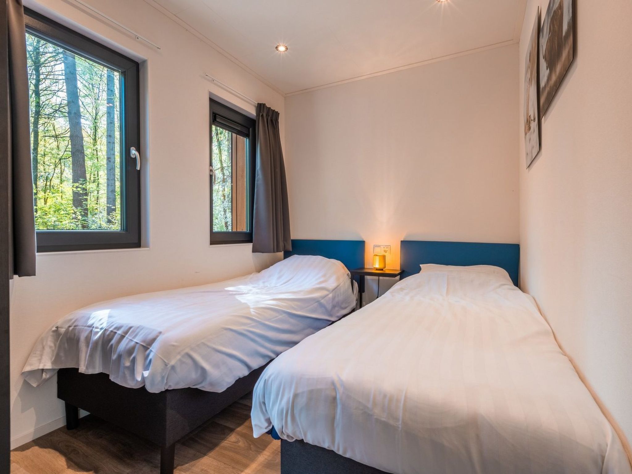 De Wiltzangh - Zandborg Lodge | 6p - Buiten