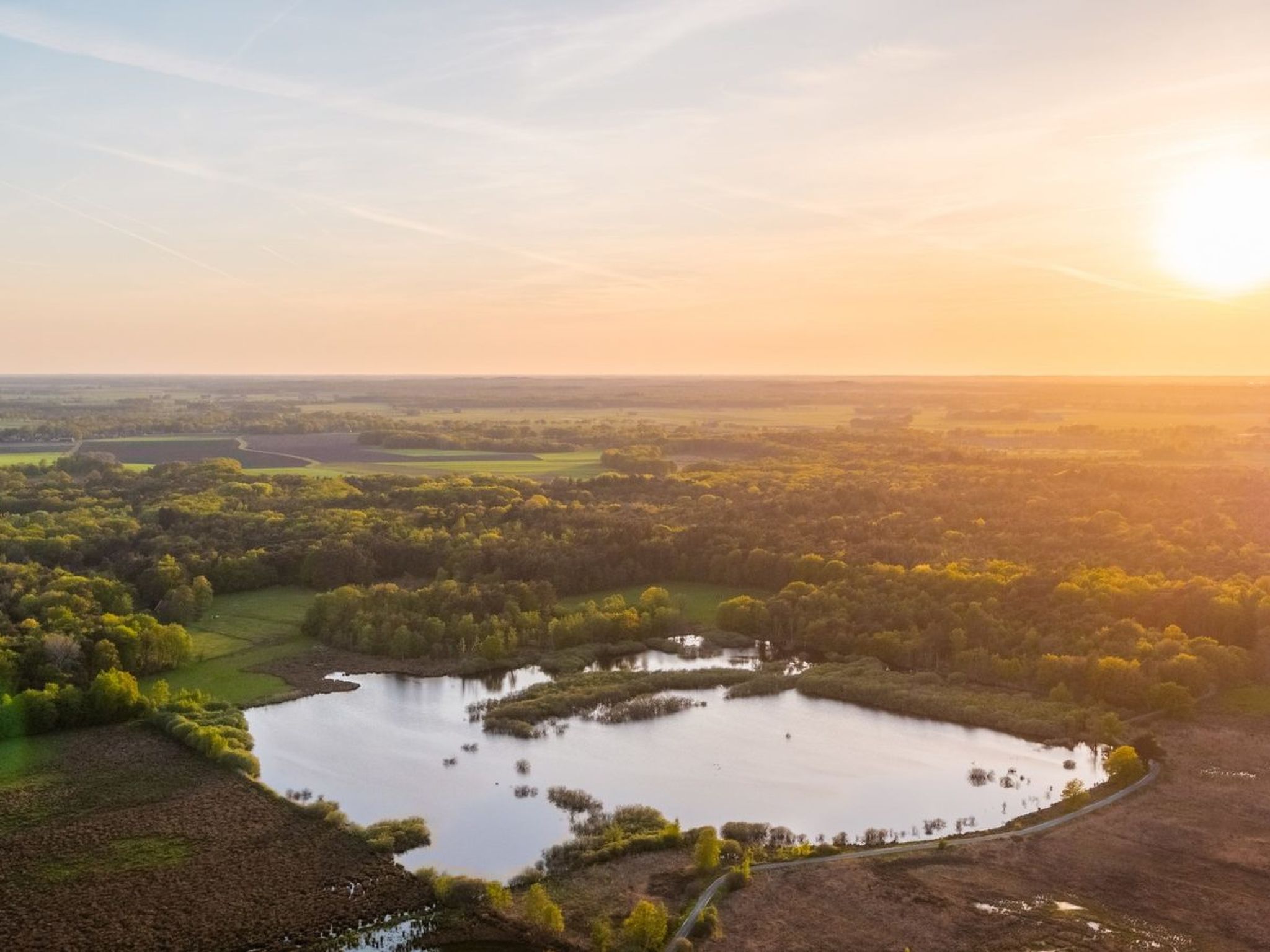 De Wiltzangh - Boschborg Lodge | 4p - Buiten