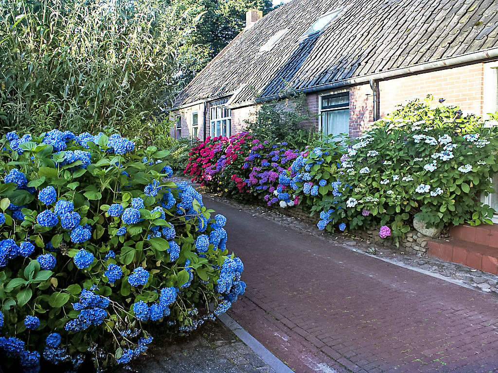 Ferienhaus Onder De Eiken Bauernhof in den Niederlande