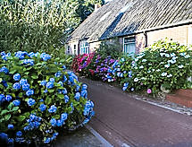Vakantiehuis Onder De Eiken