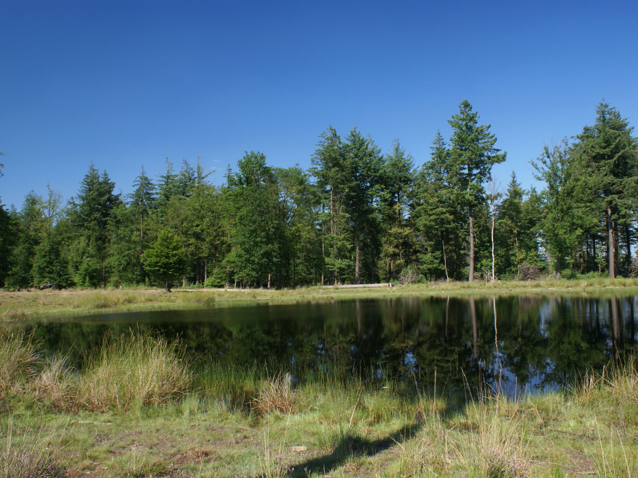 Geschmackvoll eingerichtetes Bauernhaus aus dem 19.-Binnen