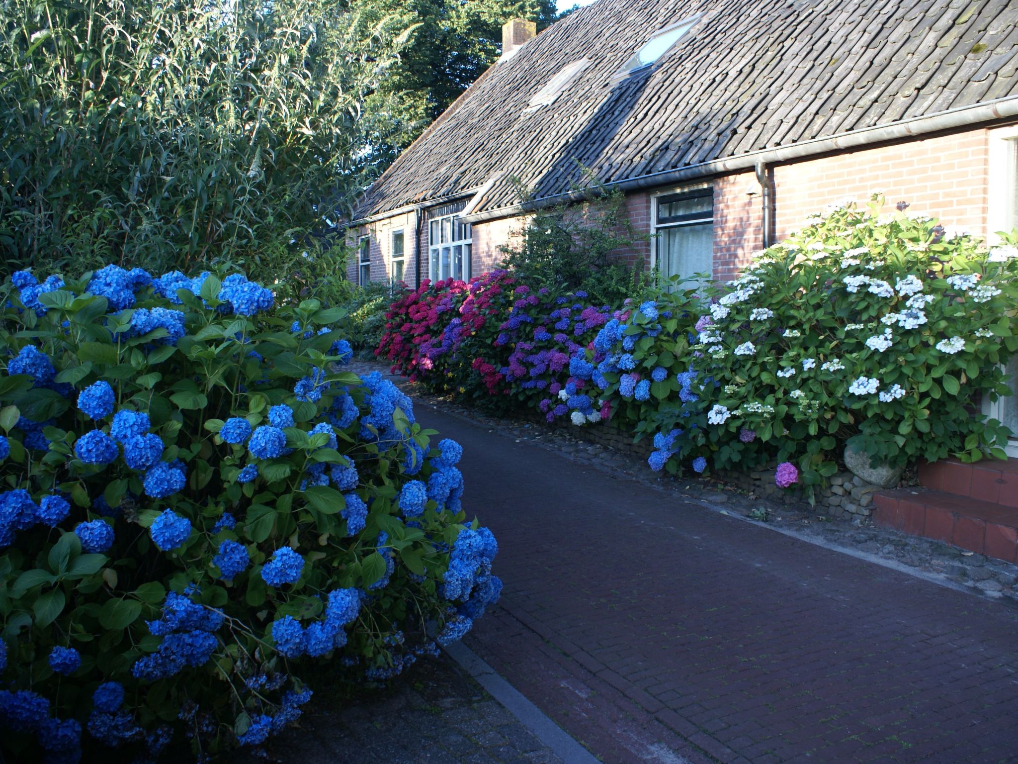 Geschmackvoll eingerichtetes Bauernhaus aus dem 19.-Binnen