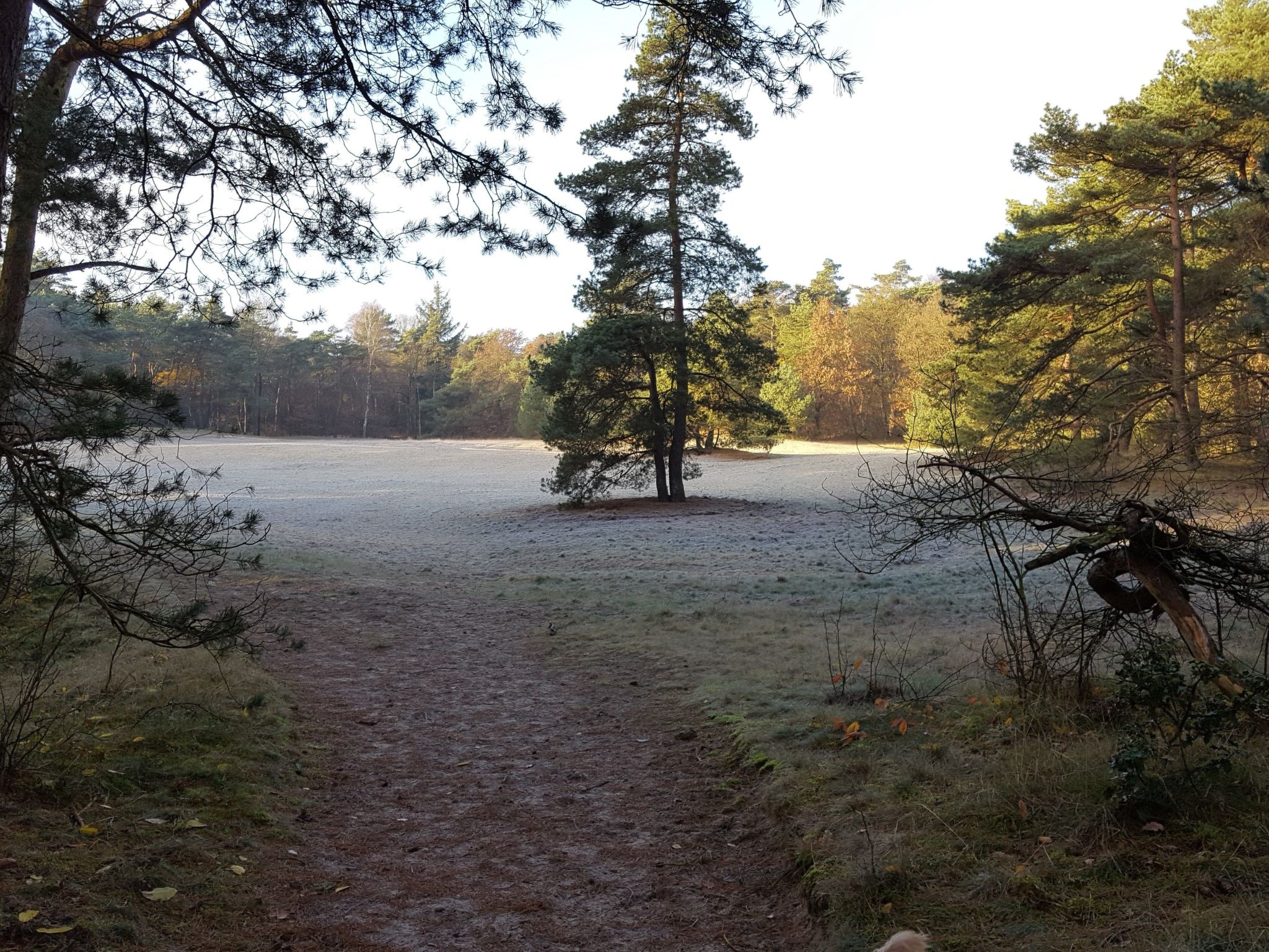Geschmackvoll eingerichtetes Bauernhaus aus dem 19.-Binnen