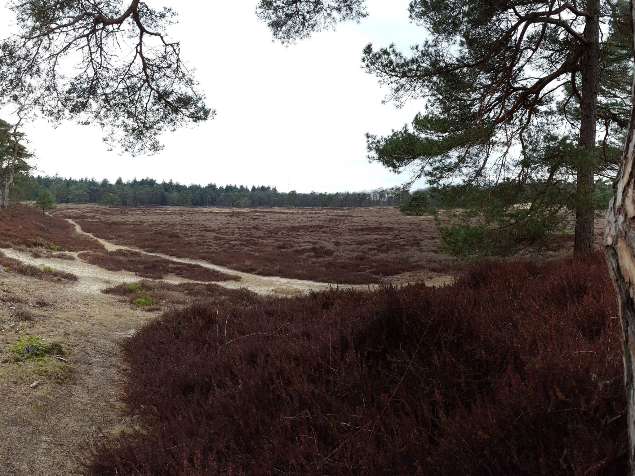 Geschmackvoll eingerichtetes Bauernhaus aus dem 19.-Binnen