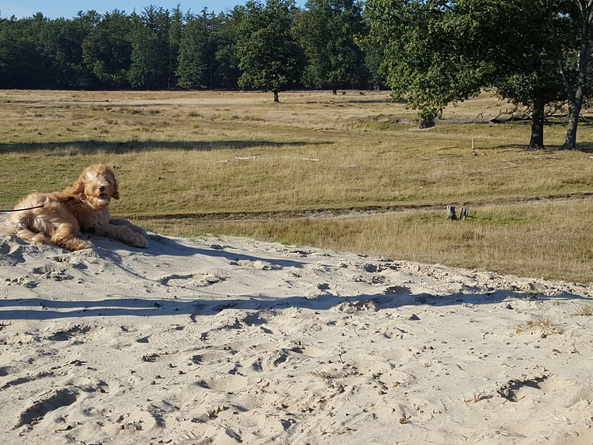 Geschmackvoll eingerichtetes Bauernhaus aus dem 19.-Binnen