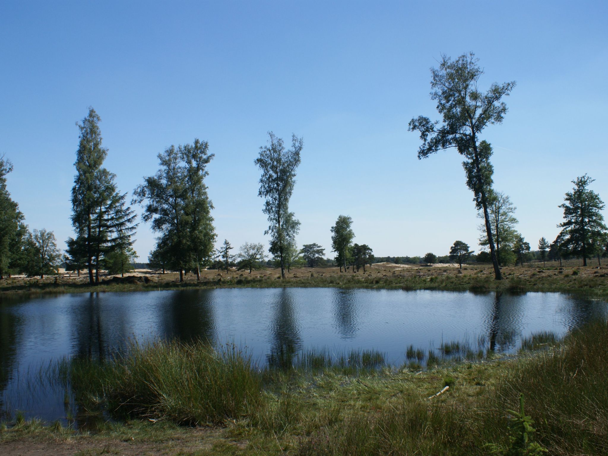 Geschmackvoll eingerichtetes Bauernhaus aus dem 19.-Binnen