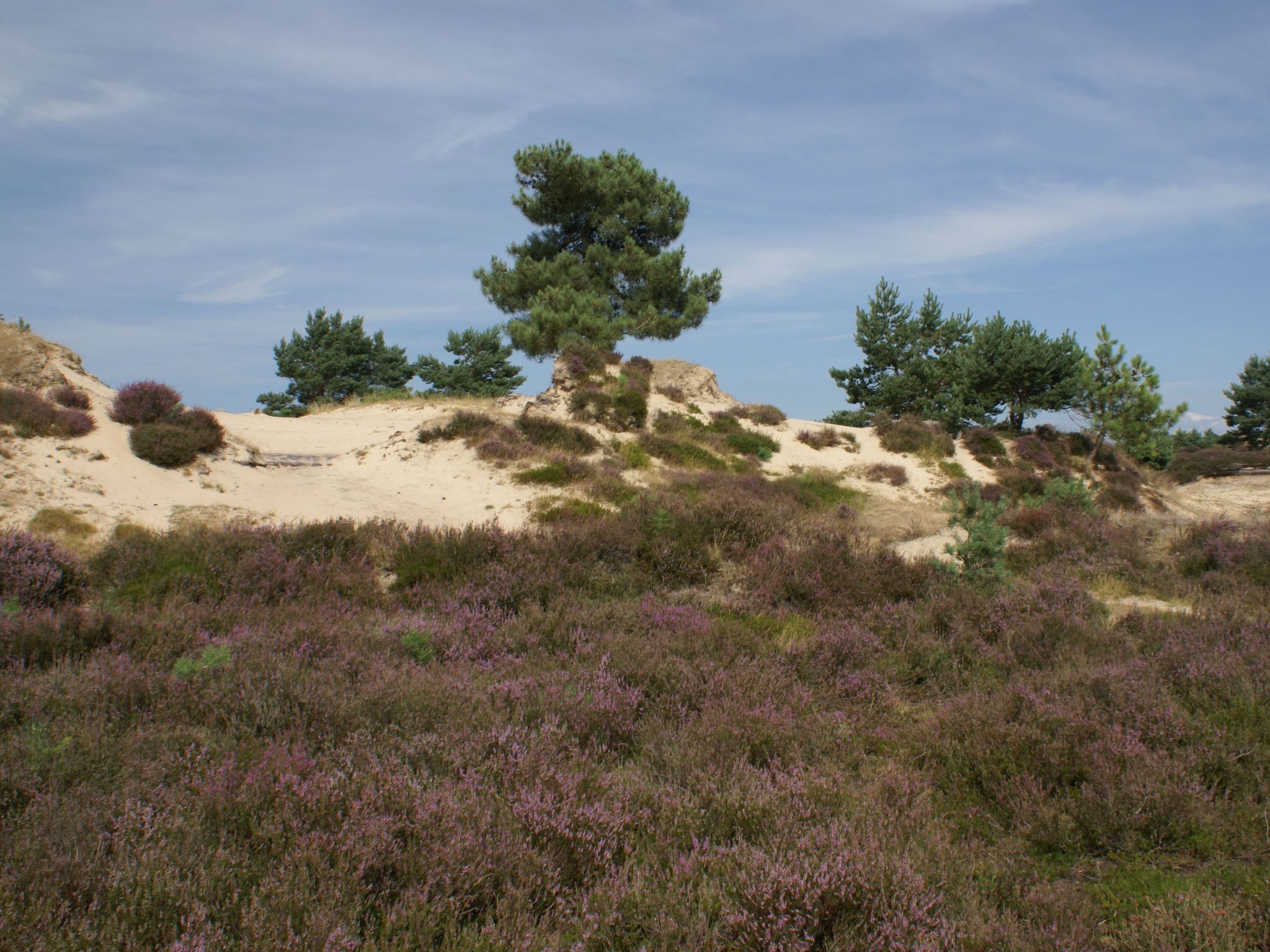 Geschmackvoll eingerichtetes Bauernhaus aus dem 19.-Binnen