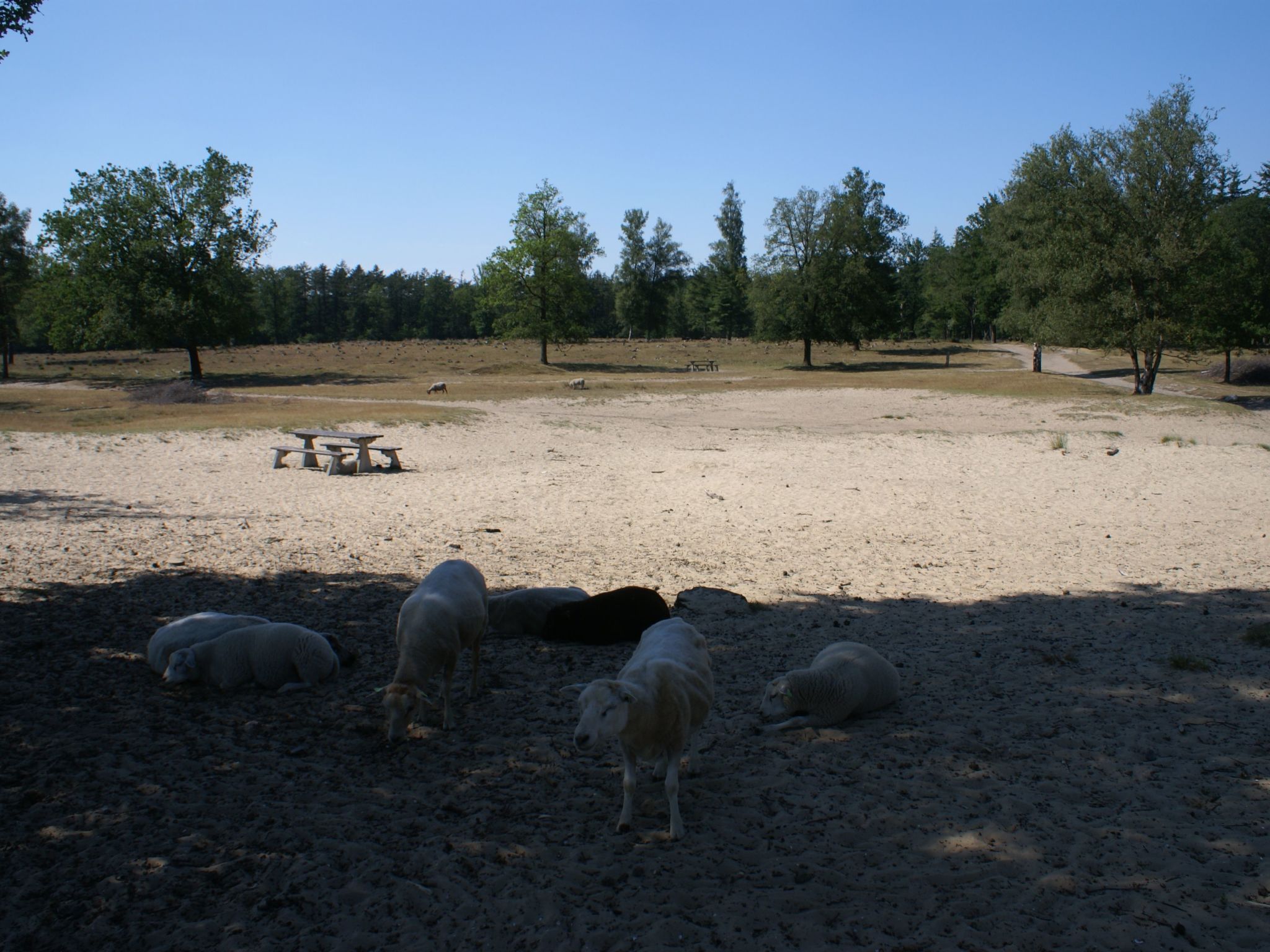 Geschmackvoll eingerichtetes Bauernhaus aus dem 19.-Binnen