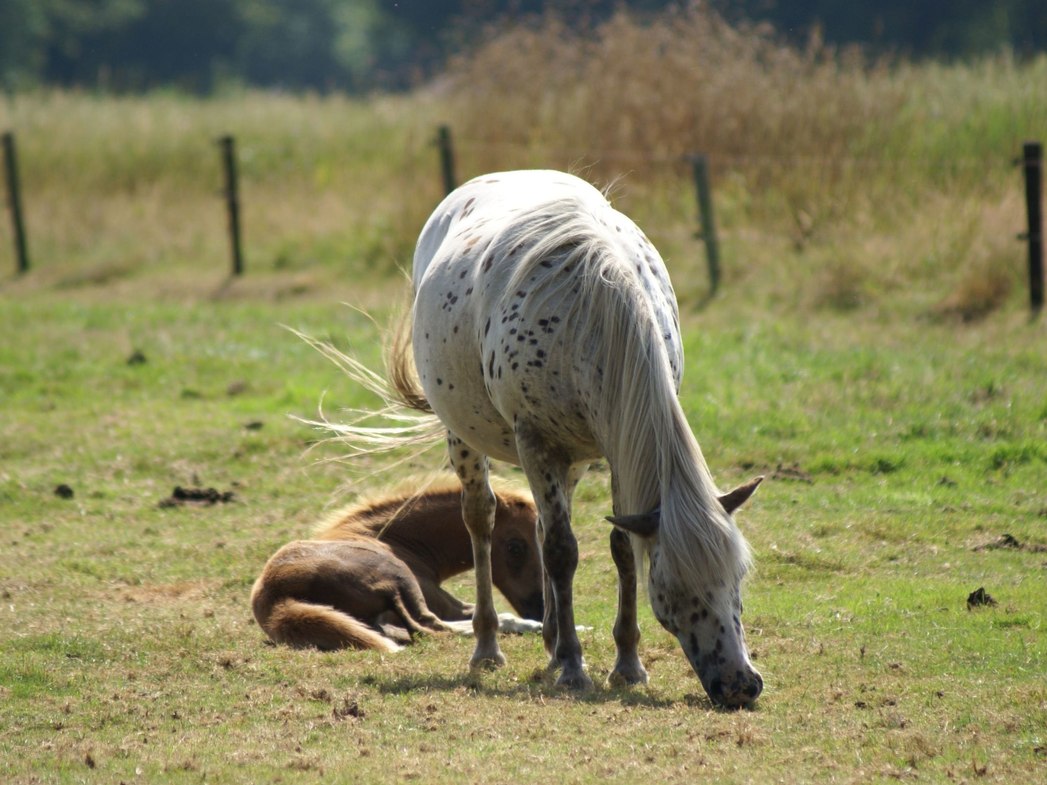 Geschmackvoll eingerichtetes Bauernhaus aus dem 19.-Binnen