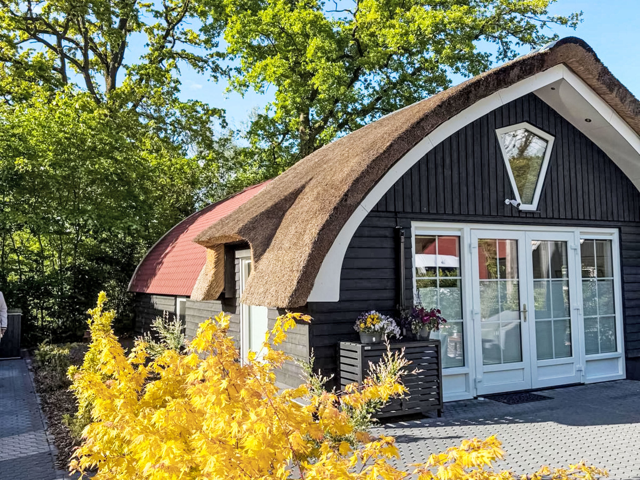 Rustige boscottage vlak bij Giethoorn