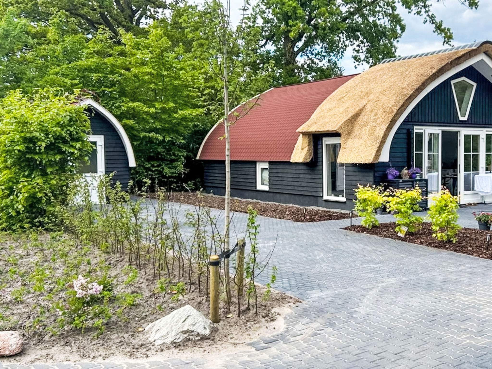 Rustige boscottage vlak bij Giethoorn - Buiten
