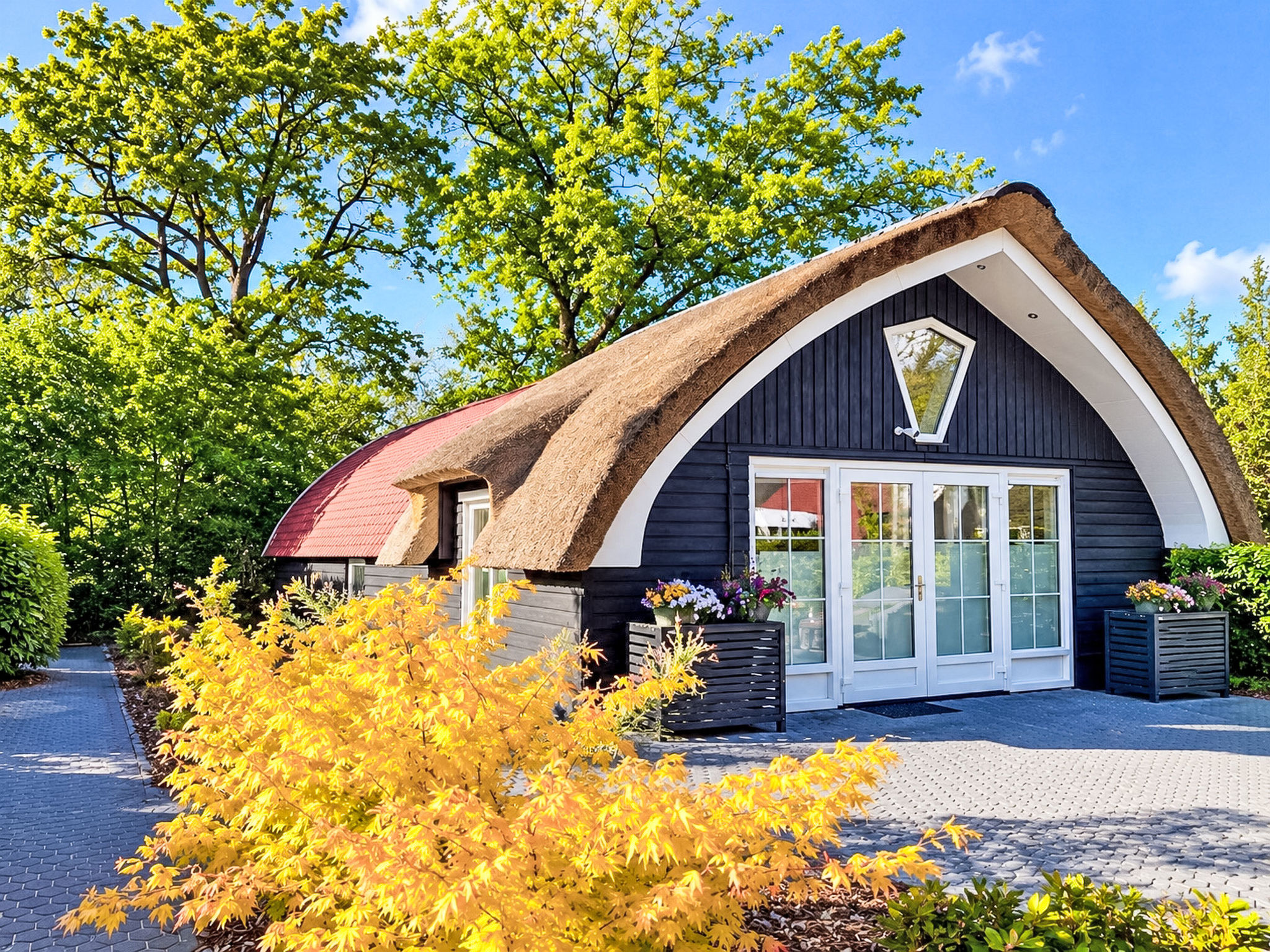 Rustige boscottage vlak bij Giethoorn