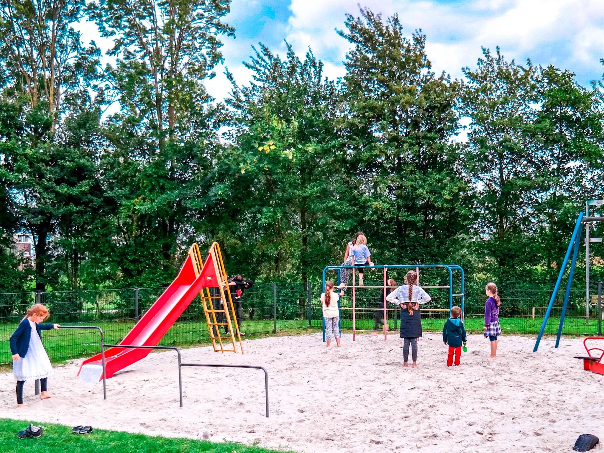 158 Schafssicht-Binnen