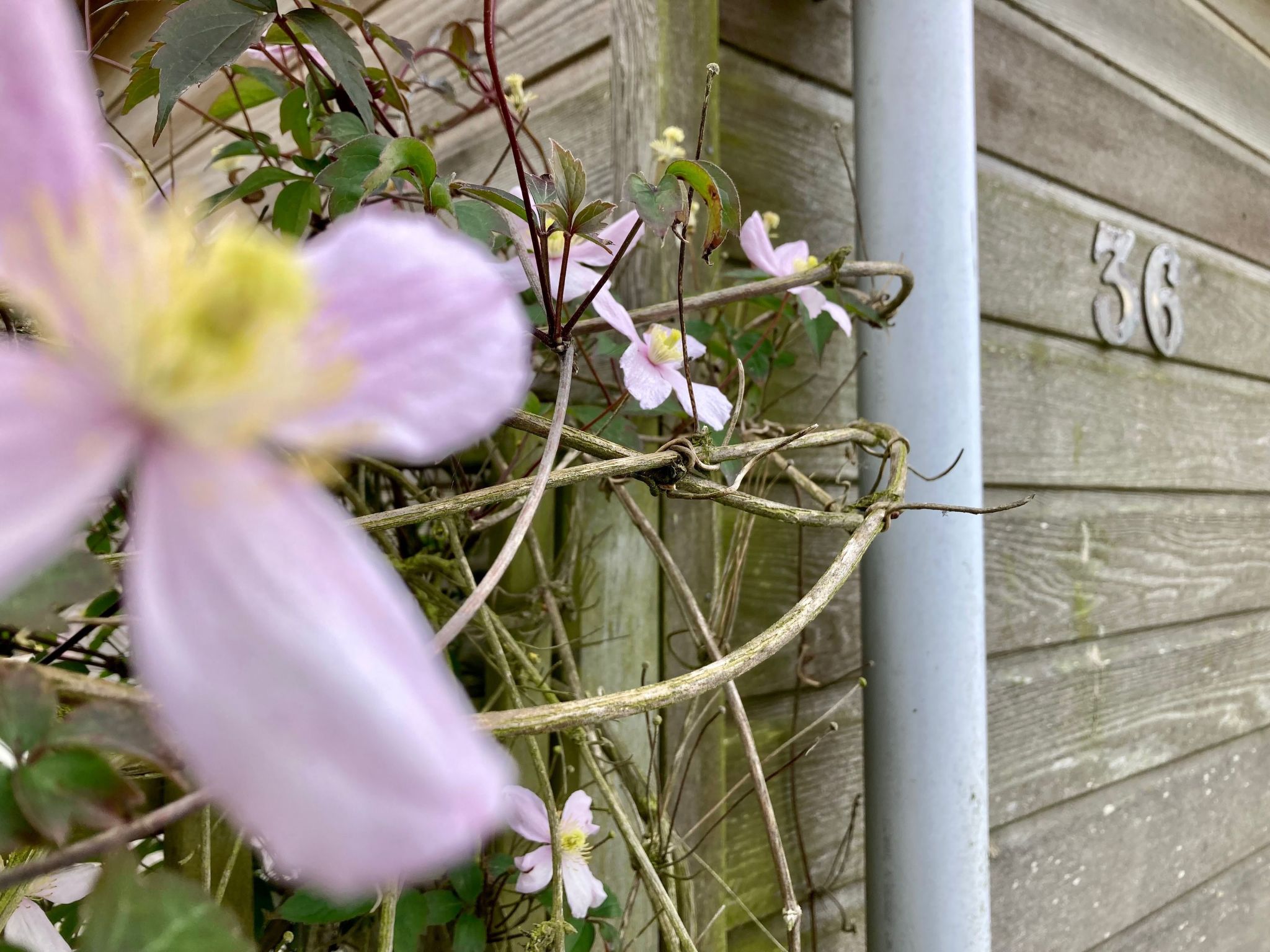 Chalet Ufergrundstück mit eigenem Angelplatz-Inside